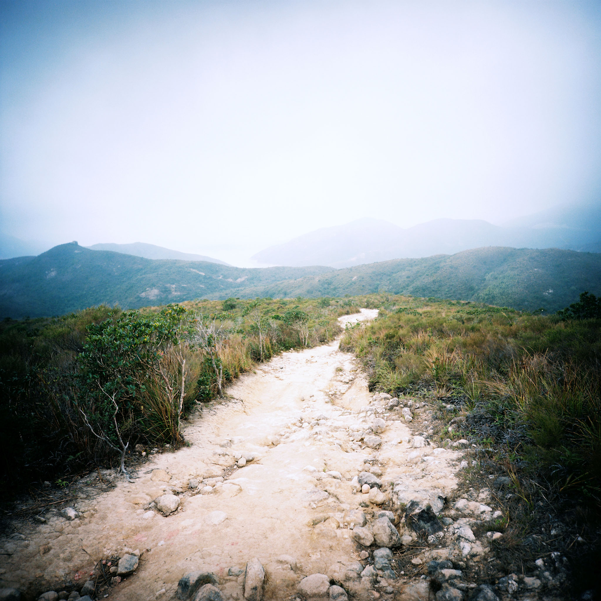img/1802-hongkong-hiking-maclehose-trail/tat-tso-1802-hongkong-hiking-maclehose-trail-03.jpg