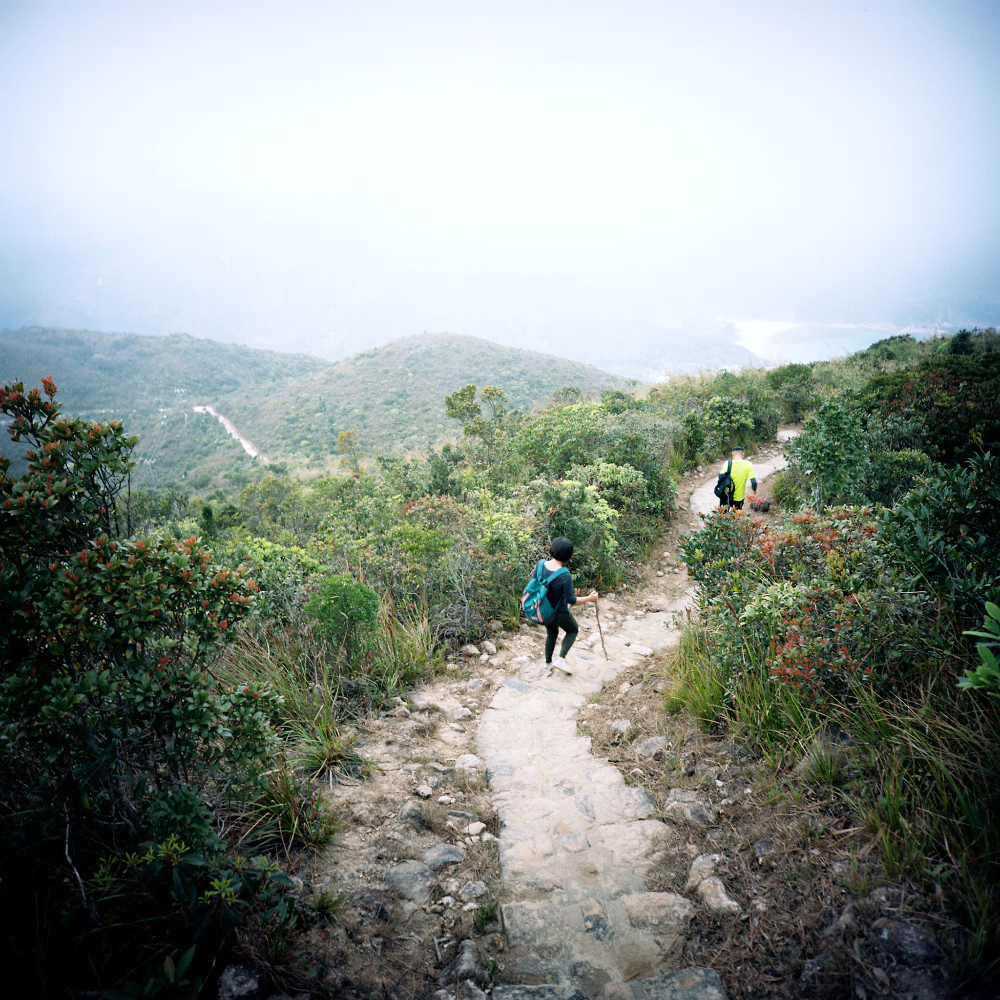 img/1802-hongkong-hiking-maclehose-trail/tat-tso-1802-hongkong-hiking-maclehose-trail-04.jpg