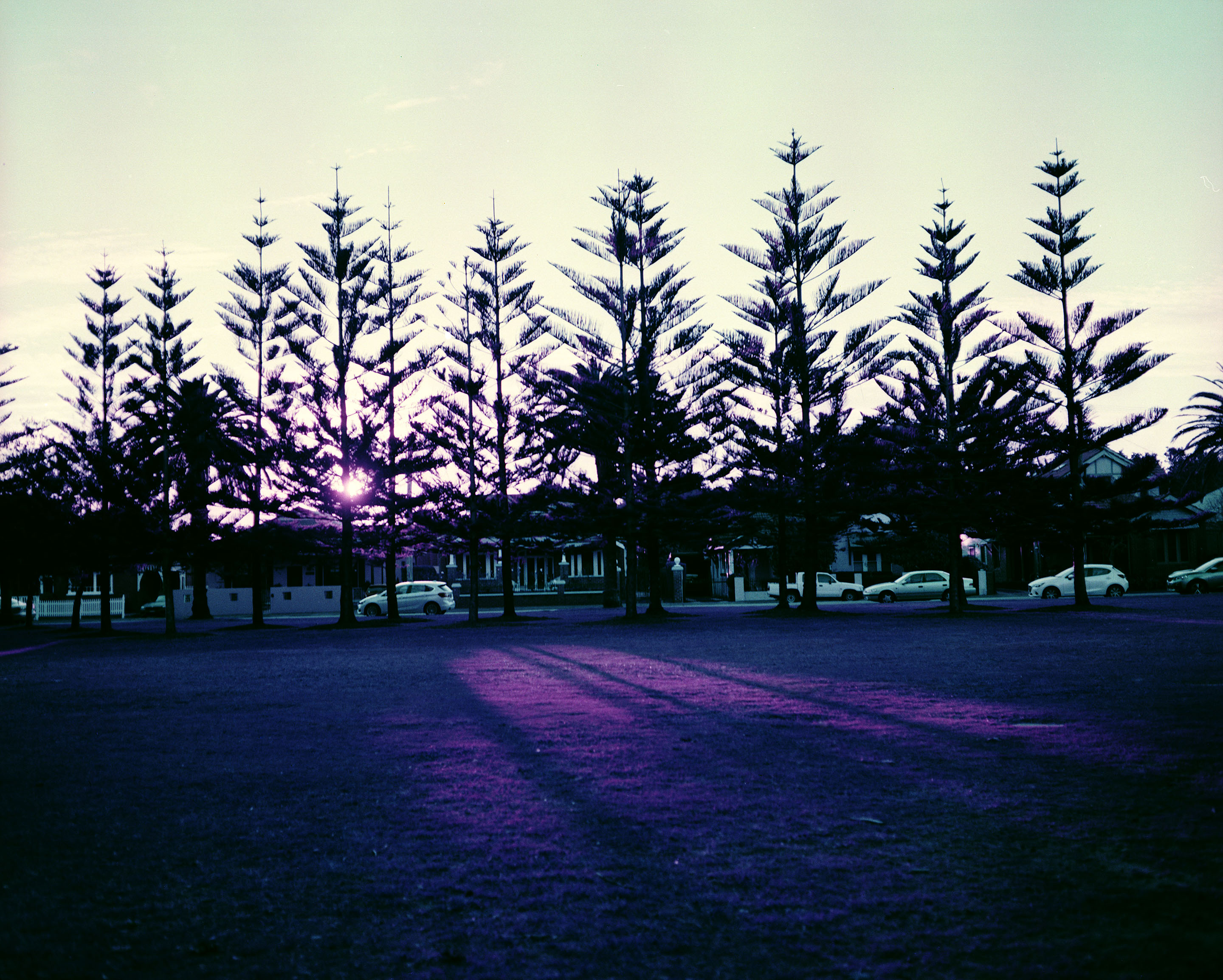 img/1807-australia-newcastle-lomochromepurple-makina67/tat-tso-1807-australia-newcastle-lomochromepurple-makina67-11.jpg