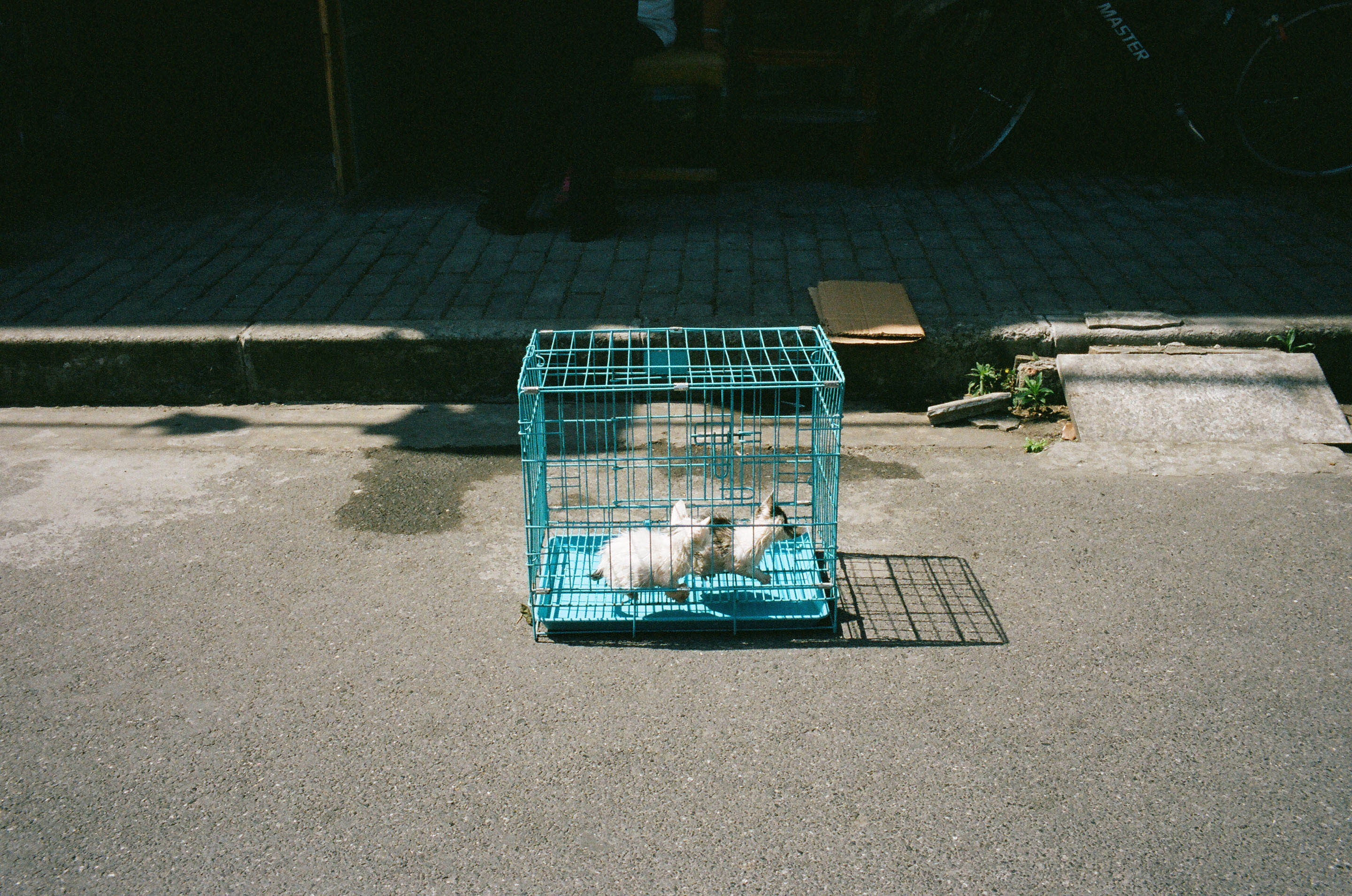 img/1905-china-shanghai-work-leicam2-summicron35asph-kodak-portra-400/tat-tso-1905-china-shanghai-work-leicam2-summicron35asph-kodak-portra-400-21.jpg