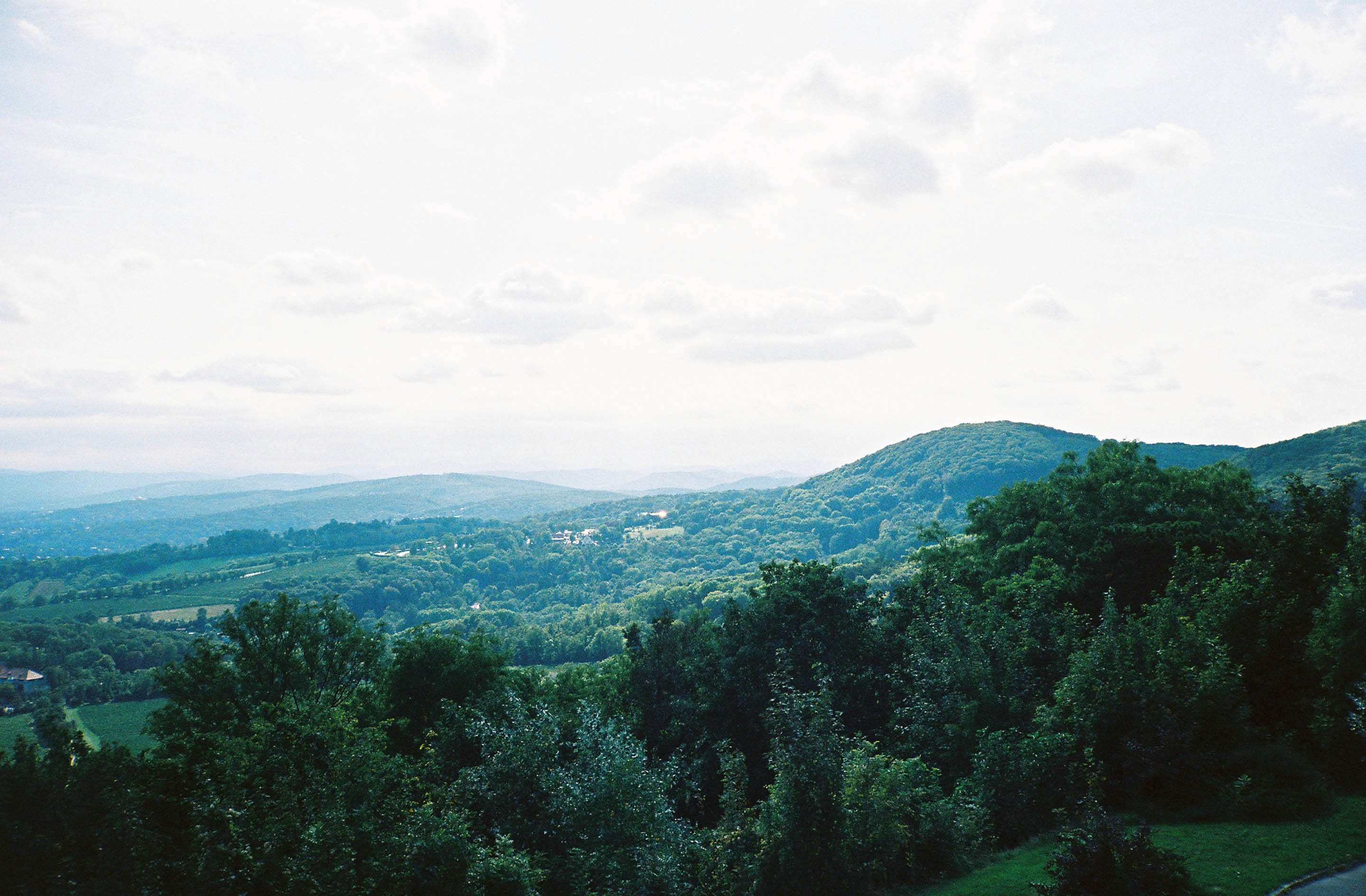 img/1909-austria-vienna-kahlenberg-walk-contaxt2-lomography-400cn/tat-tso-1909-austria-vienna-kahlenberg-walk-contaxt2-lomography-400cn-02.jpg