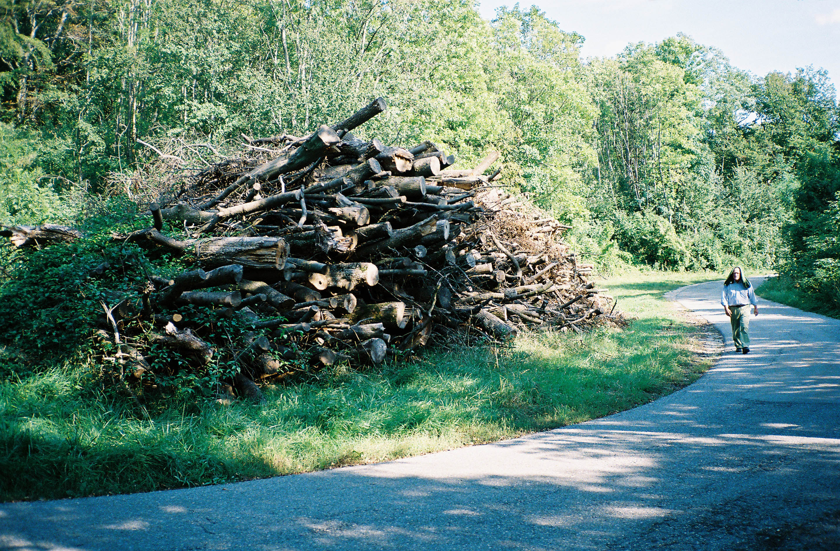 img/1909-austria-vienna-kahlenberg-walk-contaxt2-lomography-400cn/tat-tso-1909-austria-vienna-kahlenberg-walk-contaxt2-lomography-400cn-03.jpg