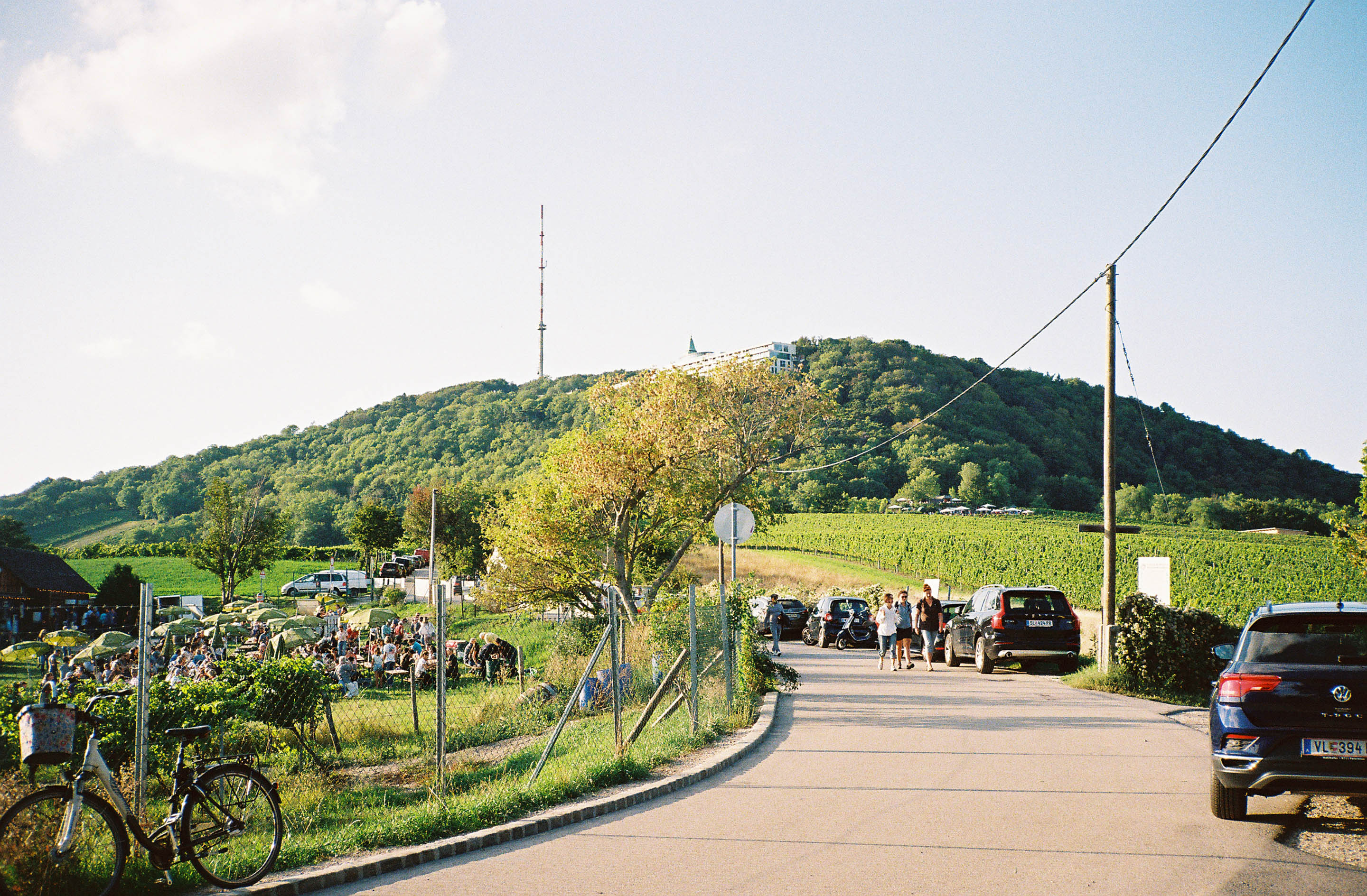 img/1909-austria-vienna-kahlenberg-walk-contaxt2-lomography-400cn/tat-tso-1909-austria-vienna-kahlenberg-walk-contaxt2-lomography-400cn-13.jpg