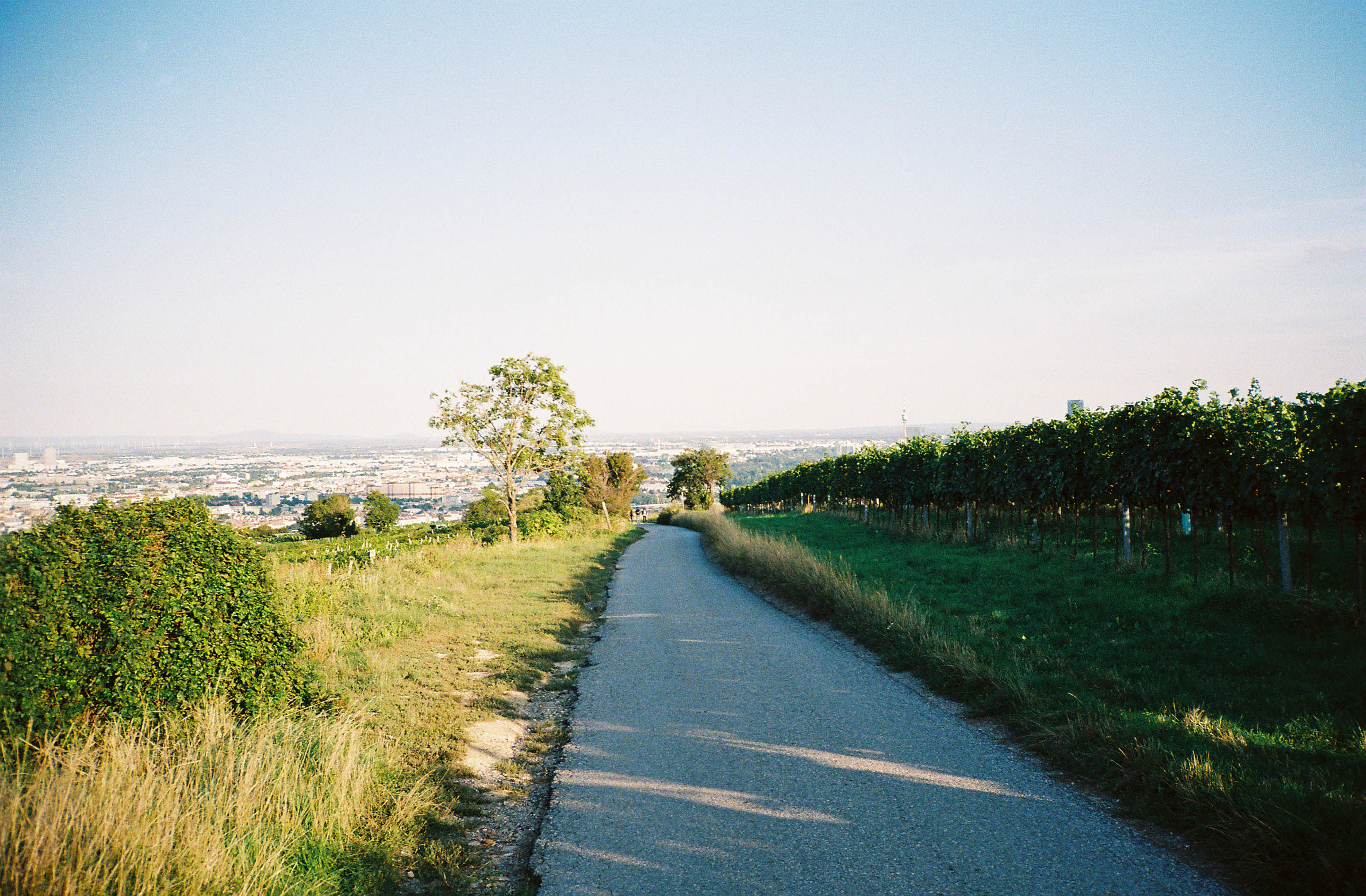 img/1909-austria-vienna-kahlenberg-walk-contaxt2-lomography-400cn/tat-tso-1909-austria-vienna-kahlenberg-walk-contaxt2-lomography-400cn-17.jpg