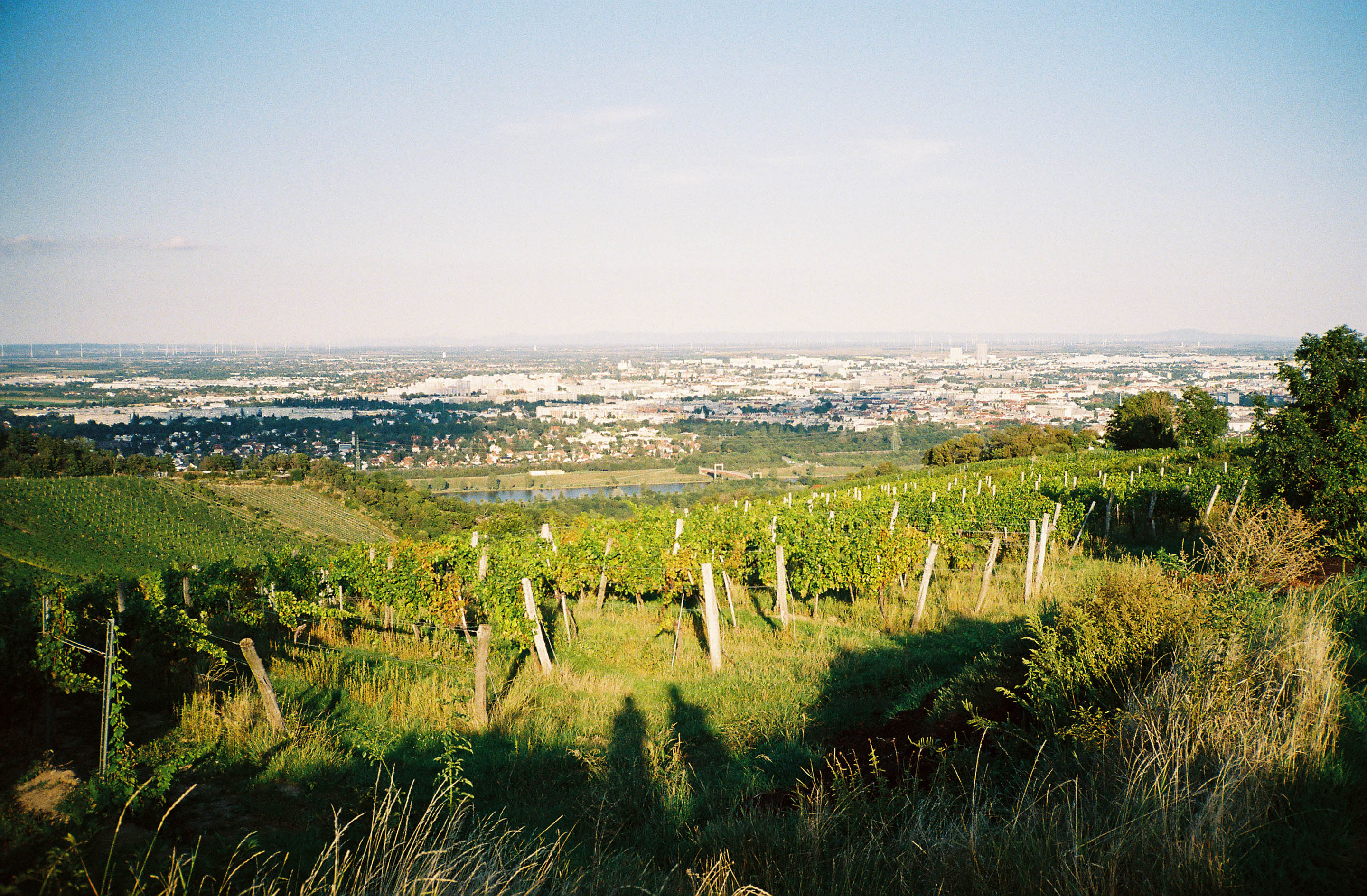 img/1909-austria-vienna-kahlenberg-walk-contaxt2-lomography-400cn/tat-tso-1909-austria-vienna-kahlenberg-walk-contaxt2-lomography-400cn-18.jpg