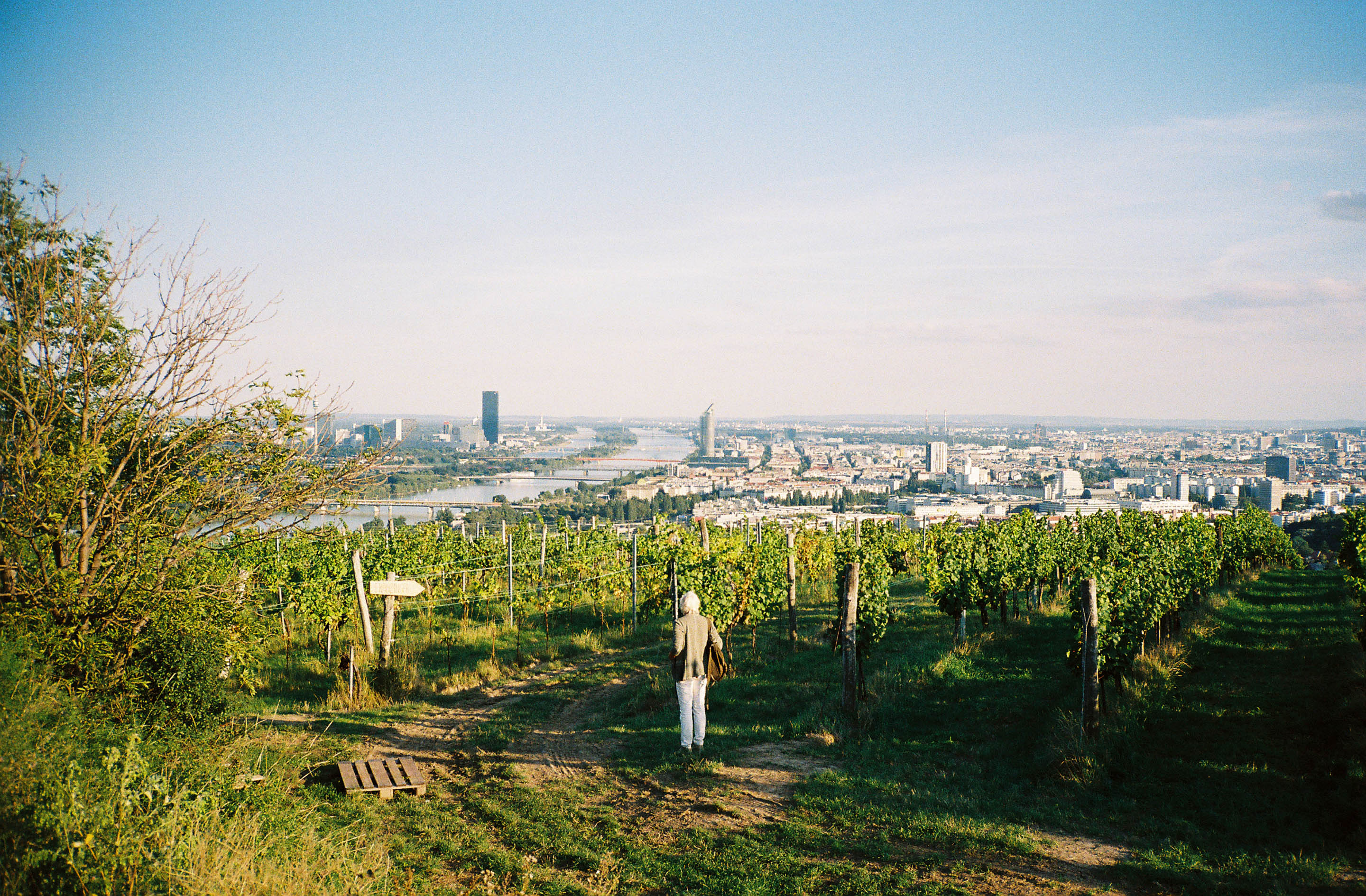 img/1909-austria-vienna-kahlenberg-walk-contaxt2-lomography-400cn/tat-tso-1909-austria-vienna-kahlenberg-walk-contaxt2-lomography-400cn-19.jpg