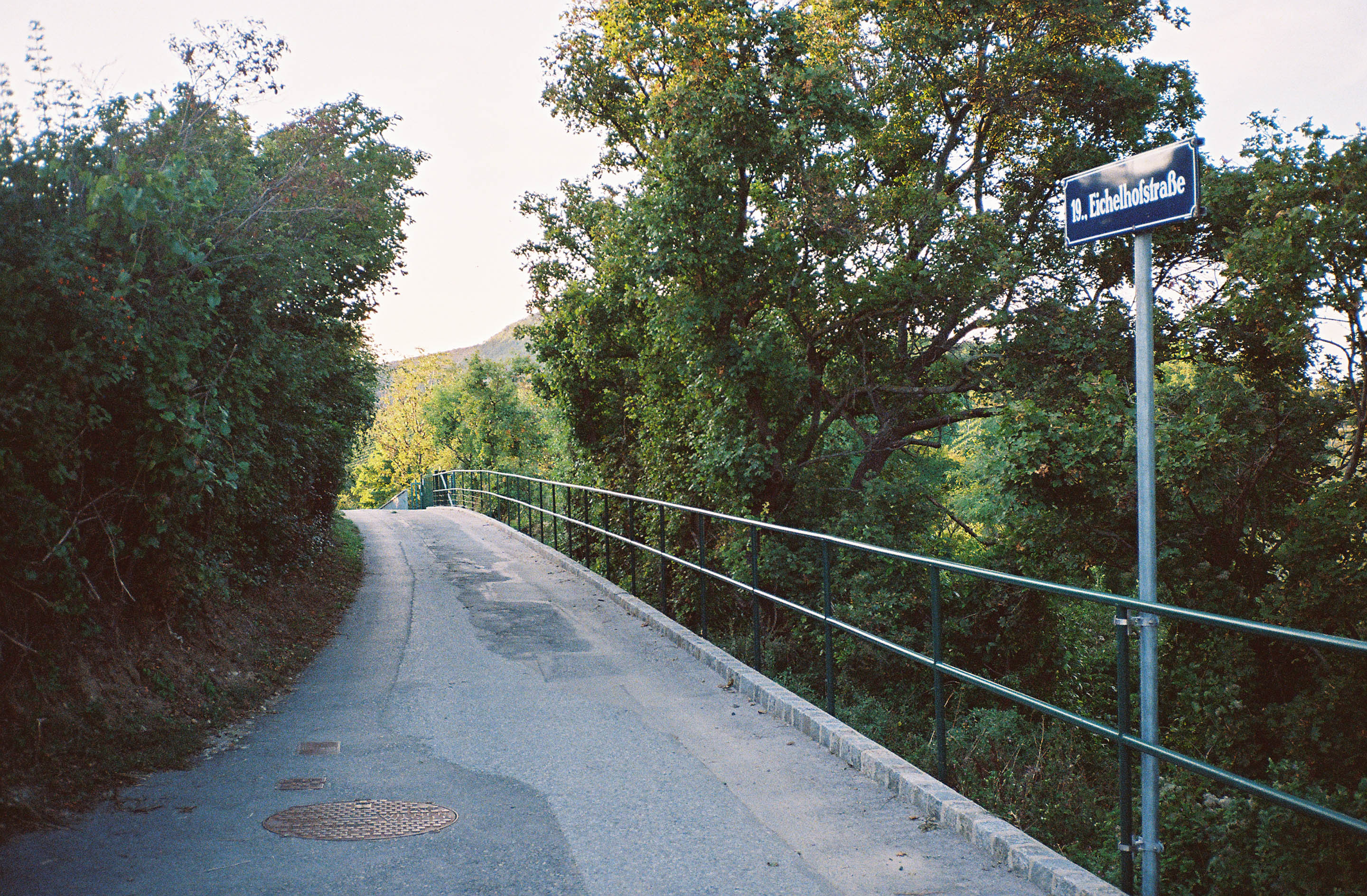 img/1909-austria-vienna-kahlenberg-walk-contaxt2-lomography-400cn/tat-tso-1909-austria-vienna-kahlenberg-walk-contaxt2-lomography-400cn-26.jpg