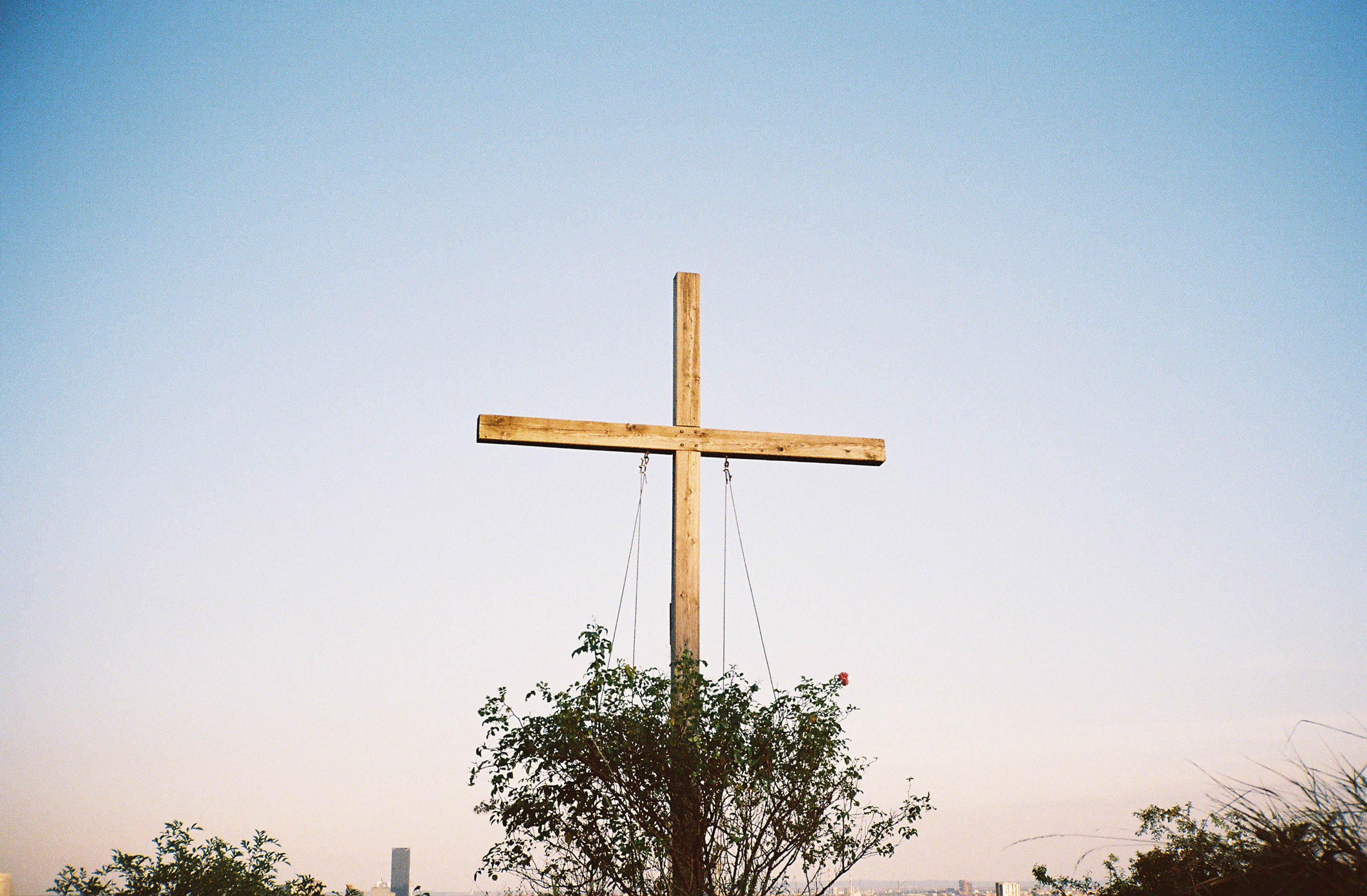 img/1909-austria-vienna-kahlenberg-walk-contaxt2-lomography-400cn/tat-tso-1909-austria-vienna-kahlenberg-walk-contaxt2-lomography-400cn-29.jpg