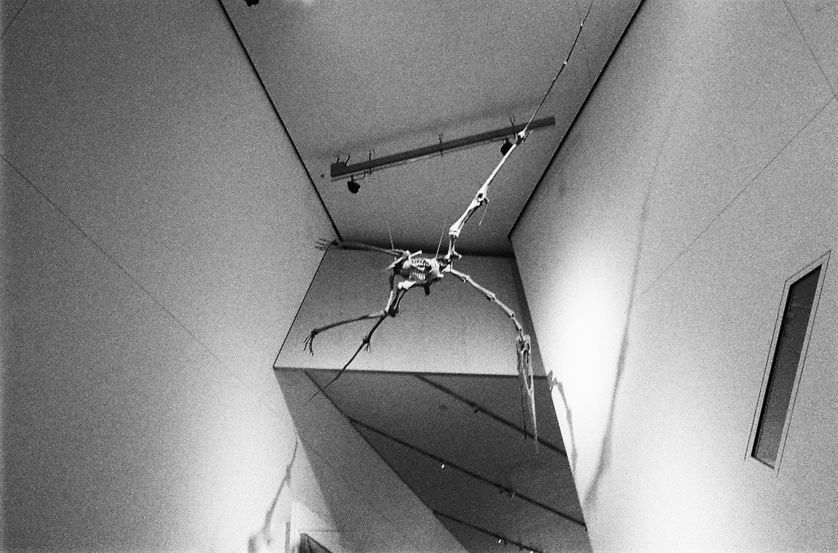 img/2209-toronto-leicam2-summicron35mmasph-kodaktrix400/tat-tso-2209-toronto-leicam2-summicron35mmasph-kodaktrix400-19.jpg